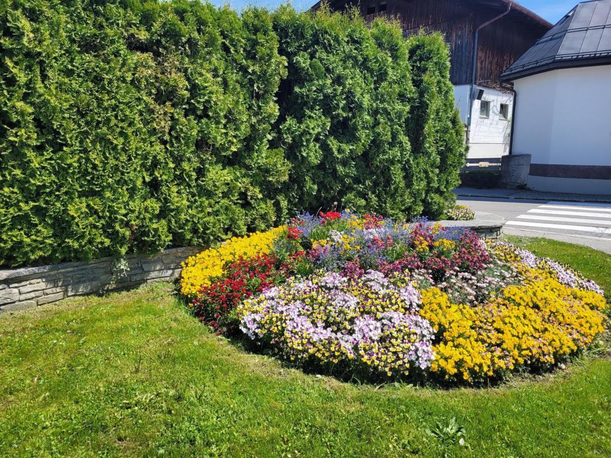 Ferienwohnung Schatz Breitenwang Eksteriør bilde