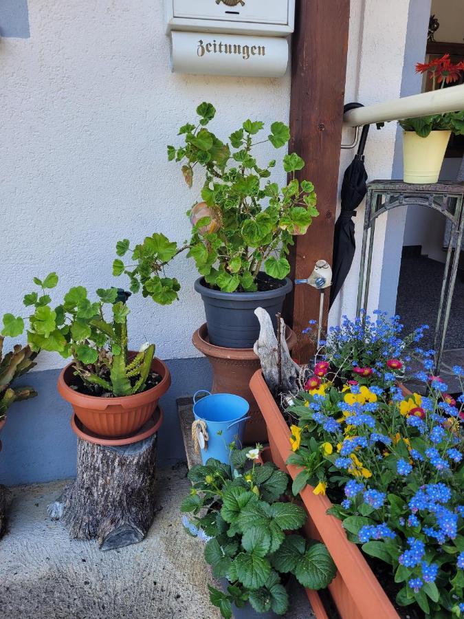 Ferienwohnung Schatz Breitenwang Eksteriør bilde
